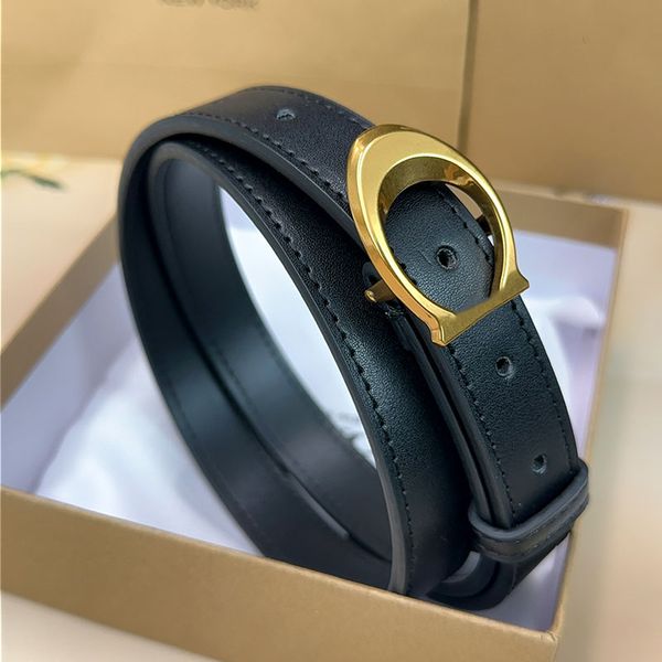 luxury belt Fashion designer belt brand belts gold silver buckle cintura belts for women designer cinture width 2.5cm with box gift high quality 2025 - Bags, Shoes & Accs - dupehive